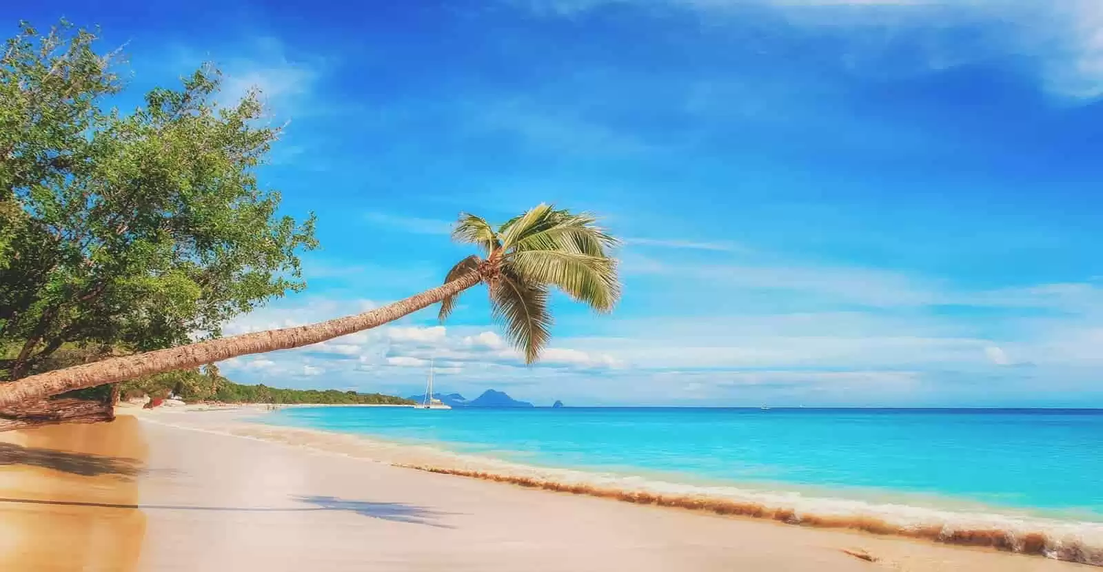 Caraïbes